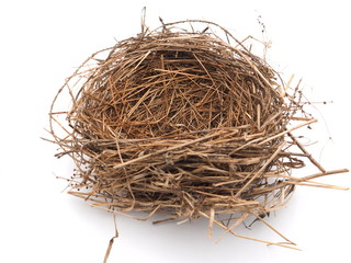 bird's nest on a white background