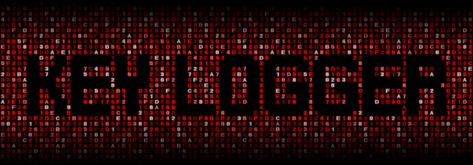 Key logger text on hex code illustration