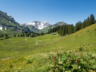 Fototapeta na wymiar A view of Alpine mountains surrounding the village Schroecken in Bregenzerwald, region Vorarlberg, Austria