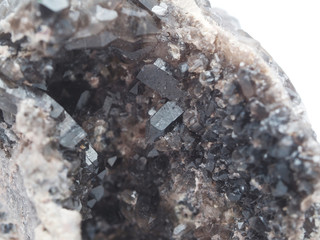 Morion on a white background