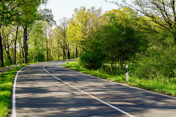Alleestraße im Frühling  in Richting Geltow