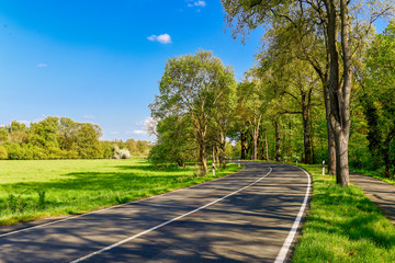 Alleestraße im Frühling  in Richting Geltow