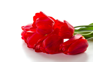 Bouquet of red tulips