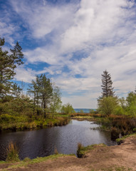 The main Tarn Area at beacon Fell Country Park, Lancashire, UK