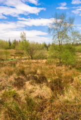Beautiful spring day at Beacon Fell Country Park, Lancashire, UK
