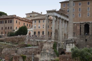 Fototapeta premium Roma (fori imperiali)