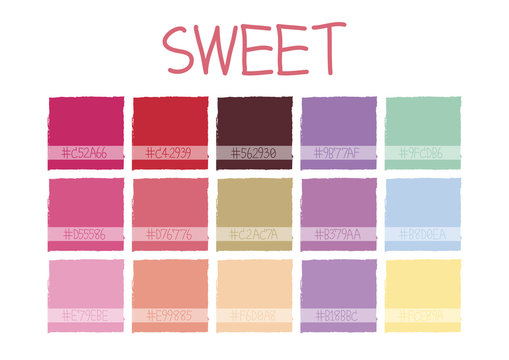 Sweet Color Tone with Code Vector Illustration