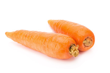 carrot on white background