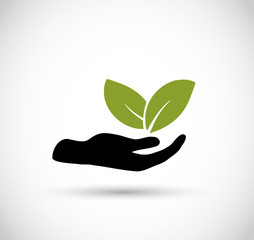 Icon vector -hand with leaf