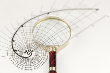 magnifying glass & drawing of the golden section