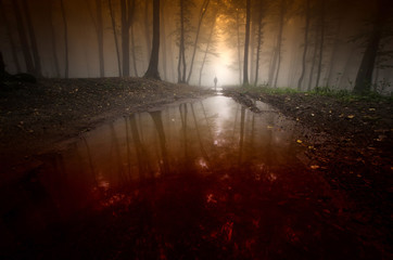 Fototapeta premium spooky man reflecting in water in surreal dark forest