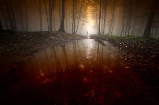 Fototapeta spooky man reflecting in water in surreal dark forest