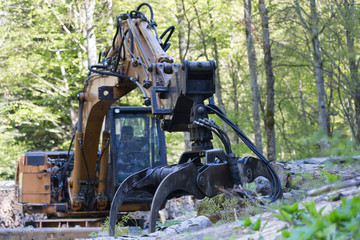 forest machine