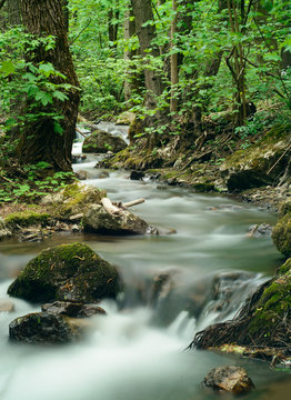 Zadiel valley - stream in forest