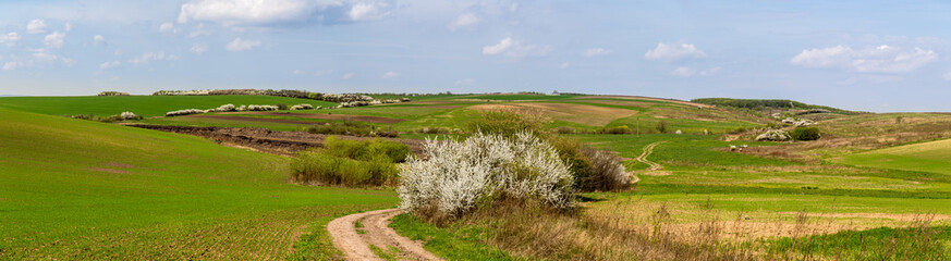 Rural landscape with curvy road and hillside country panorama.