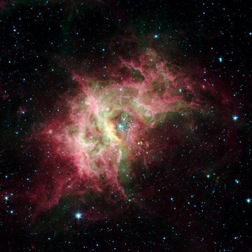 Fototapeta Starbirth region