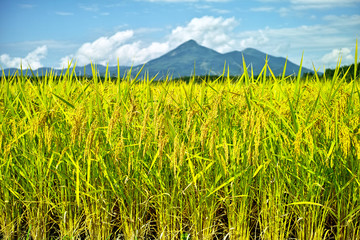 磐梯山と田園