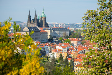 Obraz premium Prague Castle