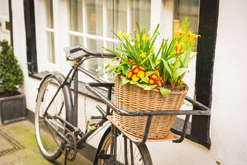 Fototapeta na wymiar Flowers on an old bike basket next to a window