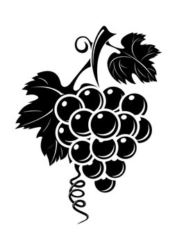 Black grapes icon isolated on white background. Black silhouette of grapes. Bunch of grapes. Vector illustration