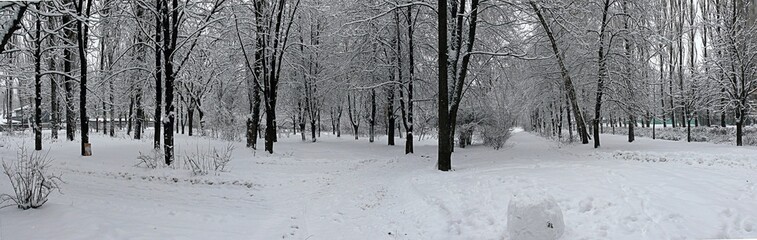 Winter in the Kiev