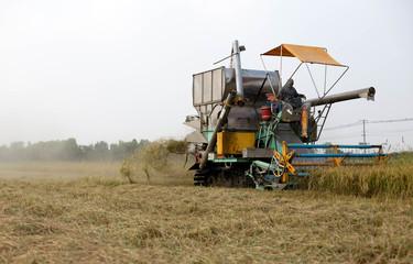 Unidentified man with Harvester machine to harvest rice field wo