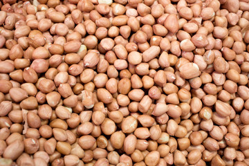 peanut seeds background (selective focus; close-up shot)