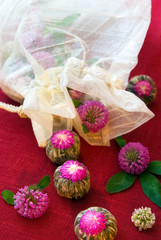 Green tea and flowers of clover