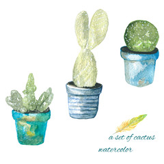 A set of cactus watercolor. Watercolor painting of a cactus. In the blue pots plants.