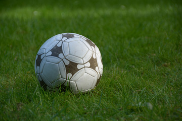 Fototapeta na wymiar Fußball auf Rasen im Sonnenschein