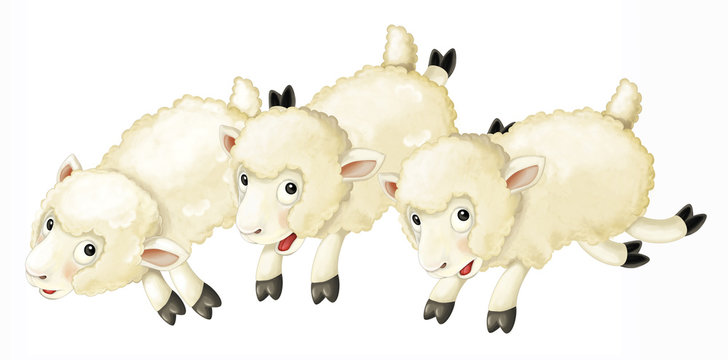 Cartoon sheep - isolated - illustration for the children