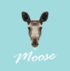 Vector Illustrated Portrait of Moose. Cute face of forest elk on blue background.
