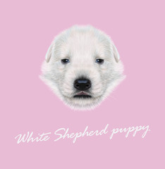 Vector Illustrated Portrait of White Sheperd puppy. Cute white fluffy face of domestic dog on pink background