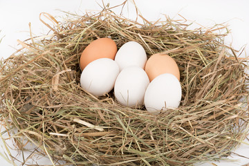 White and brown eggs in nest
