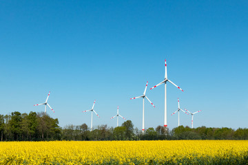 Windkraft Anlagen des Bioenergieparkes Saerbeck
