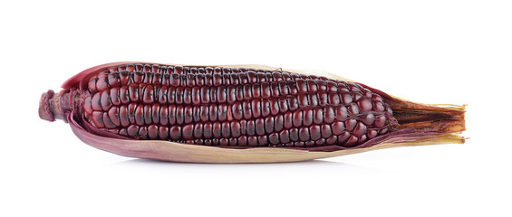 purple corn on white background