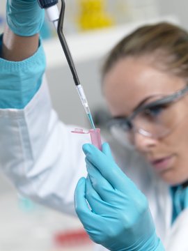 Researcher pipetting liquid