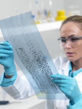 Researcher holding an autoradiogram