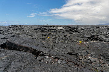 Lava Field on Big Island of Hawaii