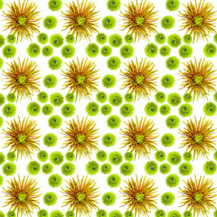 original rare green chrysanthemum repeating seamless pattern