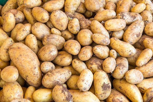 Fresh potatoes for sale at a market
