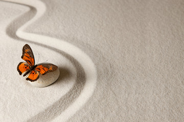 Fototapeta na wymiar Zen butterfly