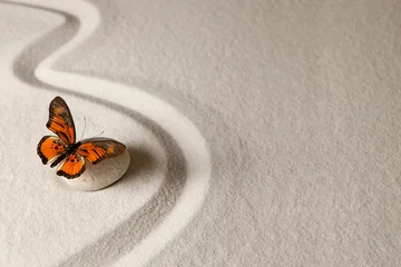 Crédence de cuisine en verre imprimé Papillon papillon zen