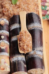 Cane sugar and fresh cane from nature.