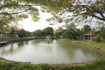 Fototapeta na wymiar fountain in pond in park