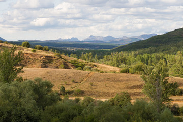 Vista panoramica de bonito paisaje ondulado de verano con bosques de robles, pinos,  chopos y sauces. Amplia visibilidad que deja ver las montañas del fondo