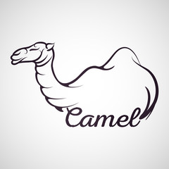 Camel logo vector