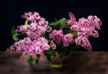 Still life lilac on dark background. Dark style.