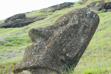 Fallen Moai - Easter Island