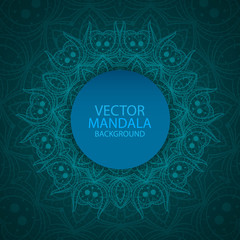 Vector mandala. Ethnic indian ornament.